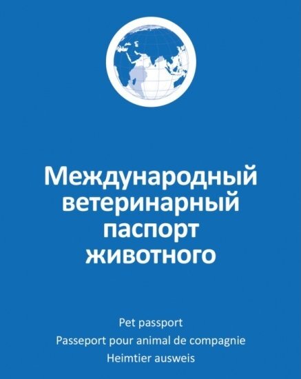    , , , , ,  , , ,  , , 